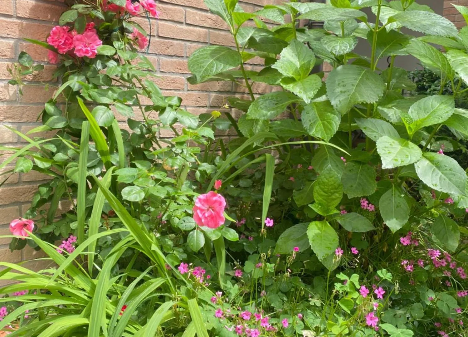 Suite Con Giardino 拉文纳